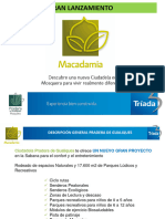 Presentacion Macadamia