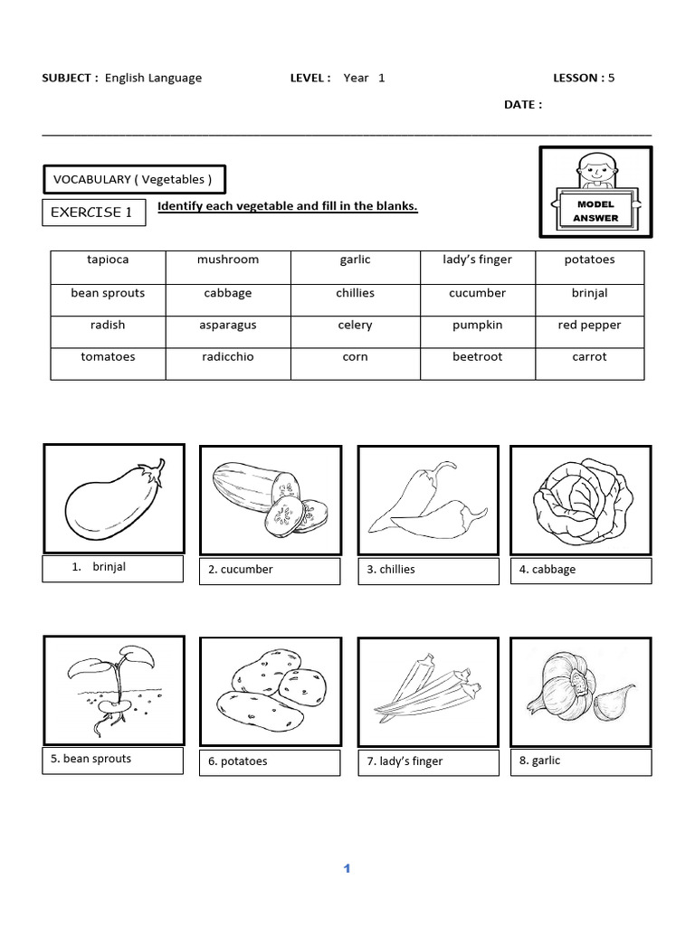 English Language Year 1 Exercises | PDF | Vegetables | Eggplant