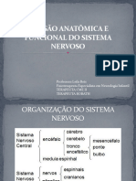 AULA 1 Neuro Anatomia e Generalidades Do SN
