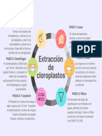 EXTRACCIÓN DE CLOROPLASTOS