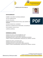 6 Formato Curriculum Vitae Público Ayu Guerrero