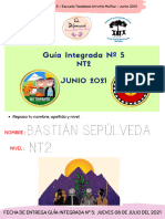 Guía Integrada Nº5 NT2