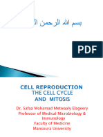 3 - Cell Cycle and Mitosis
