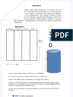 Fabricio Barducci Tarea-Copynd