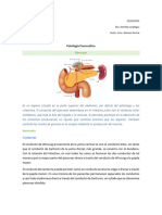 Clase 16 Patología Pancreática Dra Uzcátegui Univ Génesis Pernia