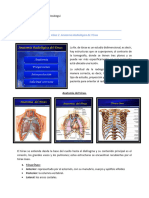 Clase 02. Anatomía Radiológica de Tórax_