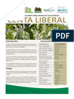 Boletin%20Centa_sorgo%20liberal