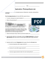 Photosynthesis Lab SE