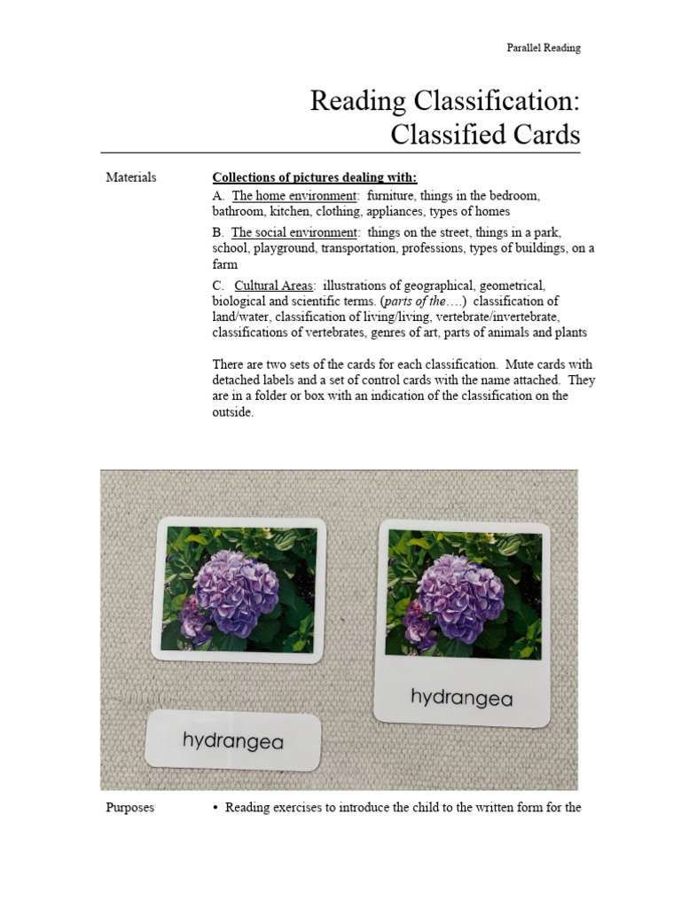 Reading Classification with Cards | PDF | Taxonomy (Biology) | Human ...
