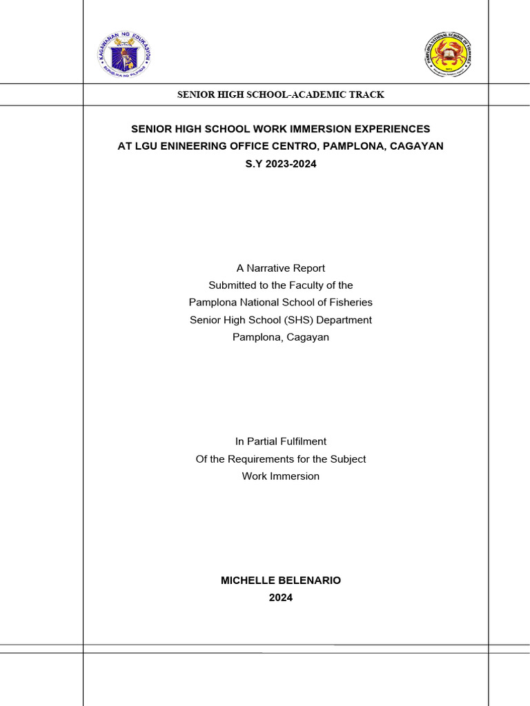 Work Immersion Report: LGU Engineering Office | PDF | Curriculum ...