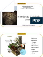 2.MicroSolo - Biologia Do Solo