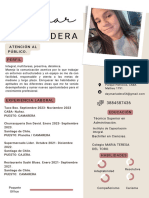 Curriculum CV Profesional Minimalista Pastel - 20231129 - 232640 - 0000