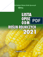 LOORR - Kukurydza 2021