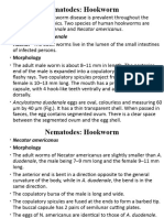 Environmental Health Parasitology - Hookworm