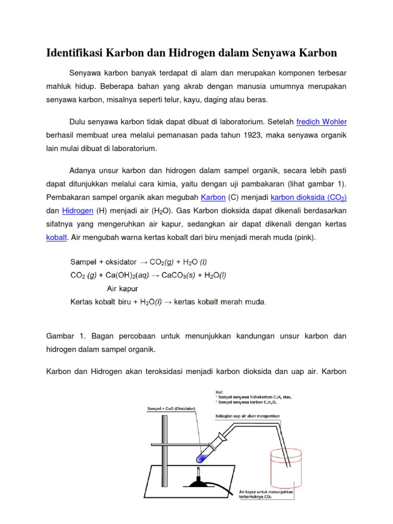 Identifikasi Karbon Dan Hidrogen Dalam Senyawa Karbon