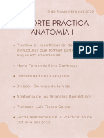 Practica 2 Anatomía