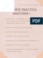 Practica 2 Anatomía (1)