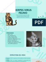 Presentación Epidemiología y Salud Ilustraciones Verde - 20240305 - 000528 - 0000