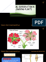 Gold_Notes_of_Sexual_Reproduction_In_Flowering_Plant_By_Garima_m
