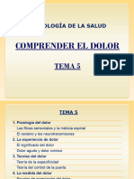 Tema 5 Psicosalud Comprender El Dolor 2324