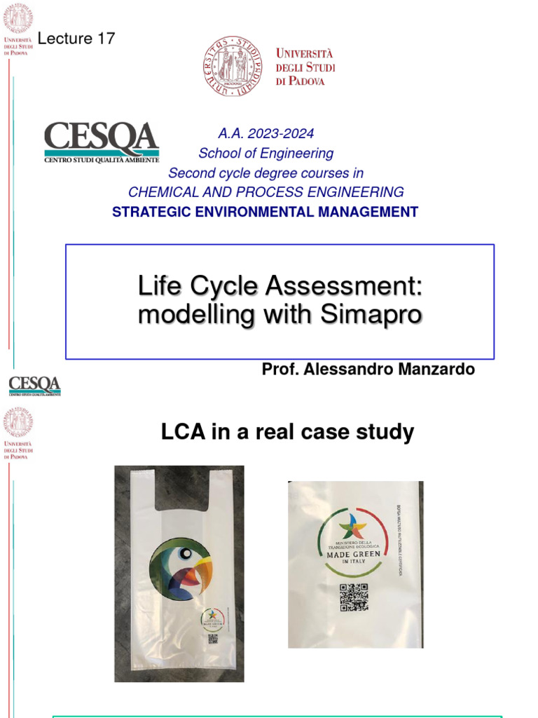 Life Cycle Assessment of PE Bags | PDF | Polyethylene | Plastic