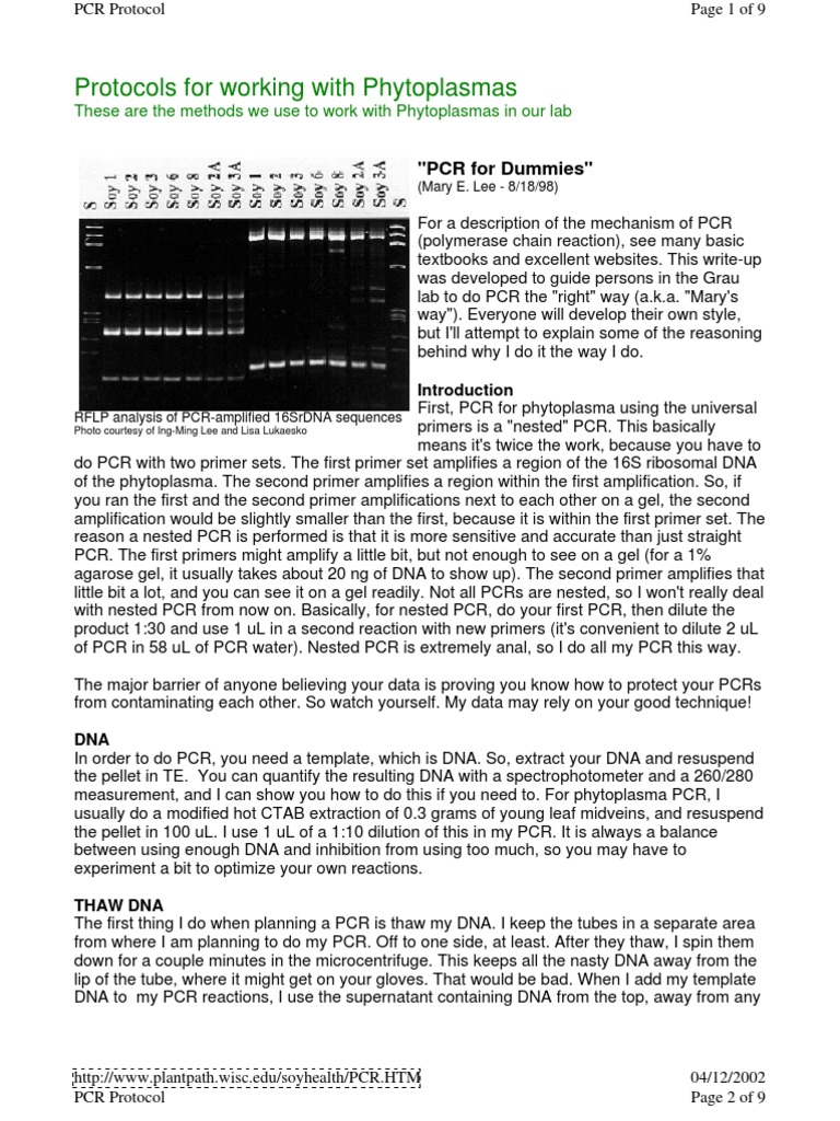 PCR For Dummies PDF Polymerase Chain Reaction Primer (Molecular