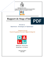 Rapport de Stage DALL