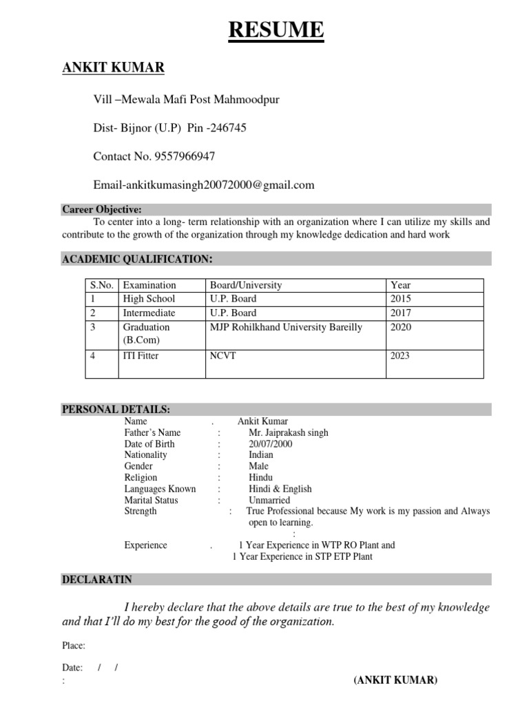 Ankit Kumar Resume - B.Com Graduate | PDF