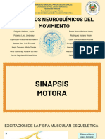 Copia de Procesos Neuroquímicos Del Movimiento