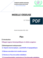 Moelle Osseuse