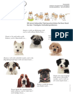 E Book 7 Verhaltens Probleme Von Hunden