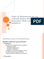 Tema 13. Fisioterapia en las lesiones musculotendinosas (manguito, PLB, capsulitis adhesiva)