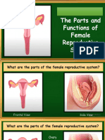 FEMALE-REPRODUCTIVE-SYSTEM (1)