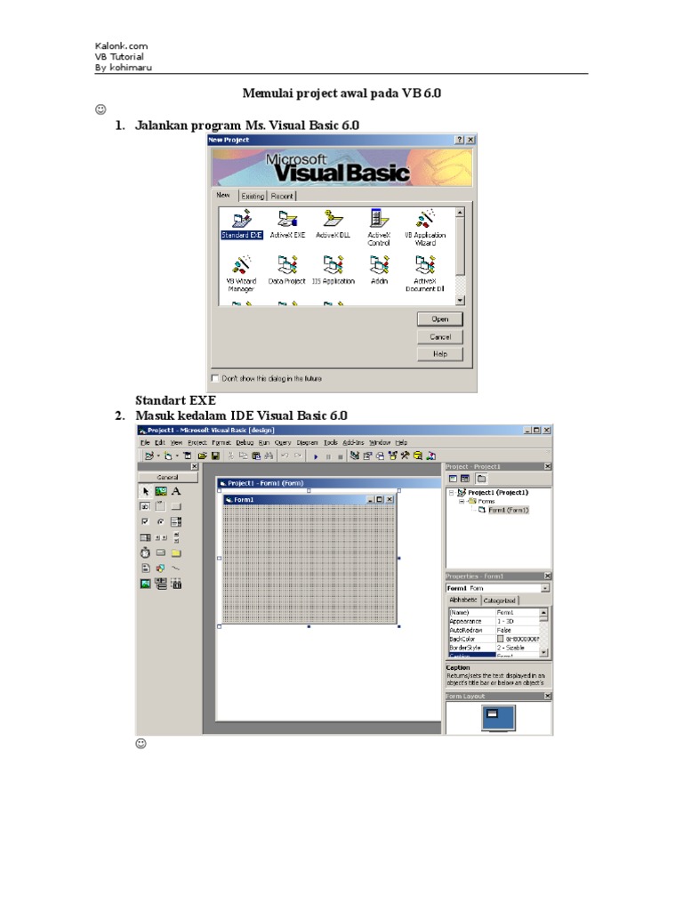 VB 6.0 Project Setup Guide | PDF