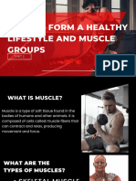How to Form a Healthy Lifestyle and Muscle Groups