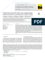 A High Content in Vitro Cardiac Fibrosis Assay For High Throughput