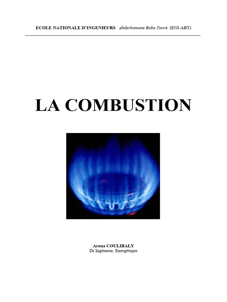 Cours sur la Combustion et ses Types | PDF | Combustible | La combustion
