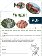 Fungos - Kelly Ogliari
