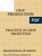 Crop Production 3