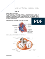 Fisiopatología de Las Válvulas Cardíacas y Del Pericardio