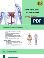 11.bi̇yo Dolaşim Si̇stemi̇-1