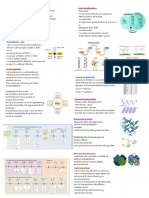 Biología Cel-Mol