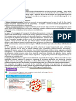 Sistema Ciruclatorio Apunte