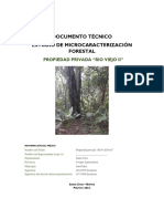 Estudio de Microcaracterización Propiedad Rio Viejo II 