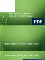 The Environmental Challenges We Face