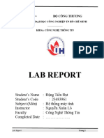 LAB REPORT 23683961 DangTienDat