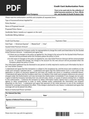AIG Credit Card Authorization
