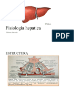 FISIOLOGÍA_HEPÁTICA (2)_f8d02ec2320c8bebf75a8f50e78cc7e2