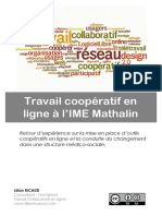 Etude de Cas Travail Coopératif en Ligne À l'IME Mathalin