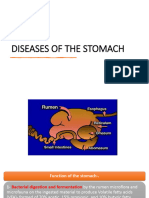 Bovine Disease of The Stomach
